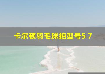 卡尔顿羽毛球拍型号5 7